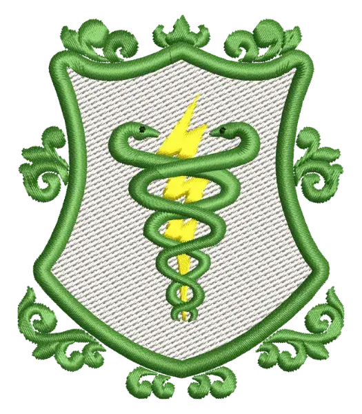 Matriz de Bordado Curso Fisioterapia